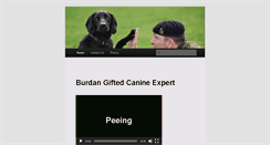 Desktop Screenshot of burdangiftedcanineexpert.com